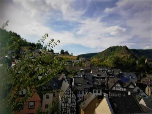 Отель Zum Froehlichen Weinberg Кохем Экстерьер фото